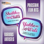 Salim Iqbal Songs MP3 Download